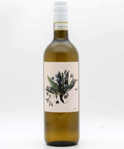 Marta Valpiani – Delyus Albana