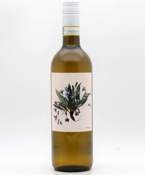 Marta Valpiani – Delyus Albana