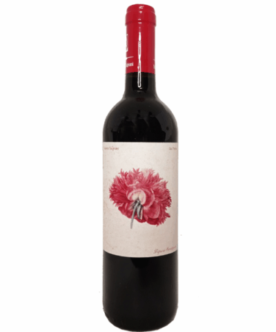 Marta Valpiani – Rio Pietra Sangiovese