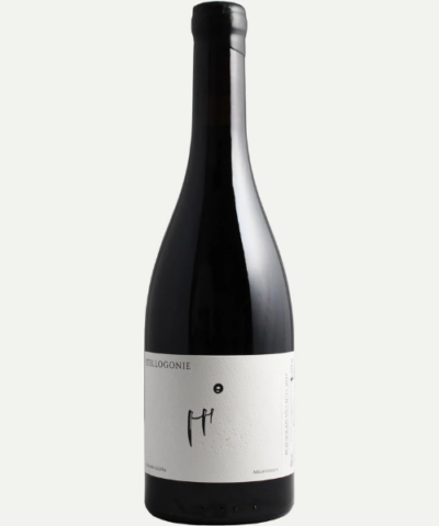 Benjamin Azzara Beaujolais-Villages “Stellogonie” 2024