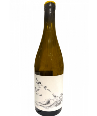 Amalasunta 2024 Edoardo Pagani Lazio bianco igt