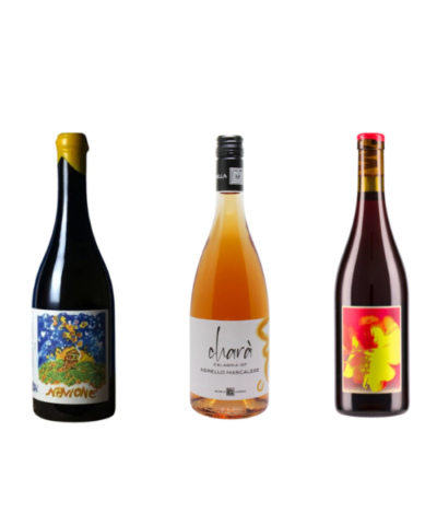 BOX 1 Navione Lombardo Salvano