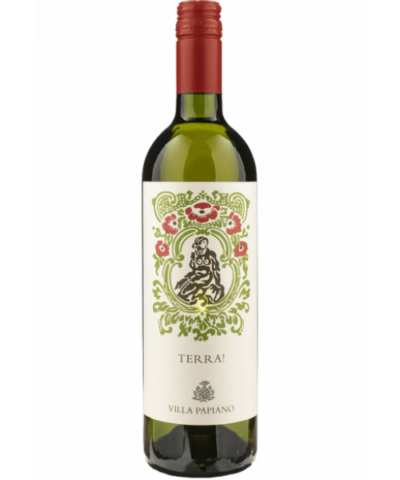 Villa Papiano Terra!