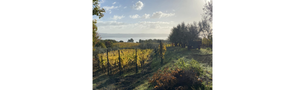 Le coste di gradoli azienda agricola