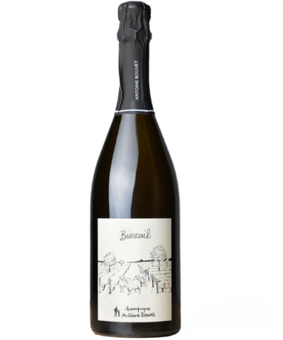 Champagne Aoc Bisseuil Antoine Bouvet