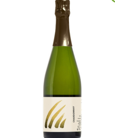Insu Les Coutures 2021 Champagne della Marne