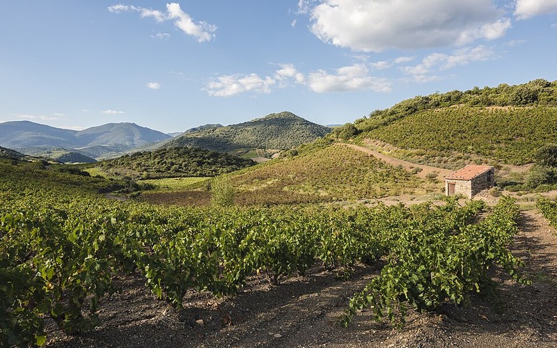 Les Obrières Cool y Coule, colline e vigne del Languedoc