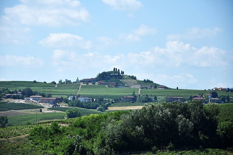 Colline e vigneti di Costigliole d'Asti, la terra della Barbera di Braida