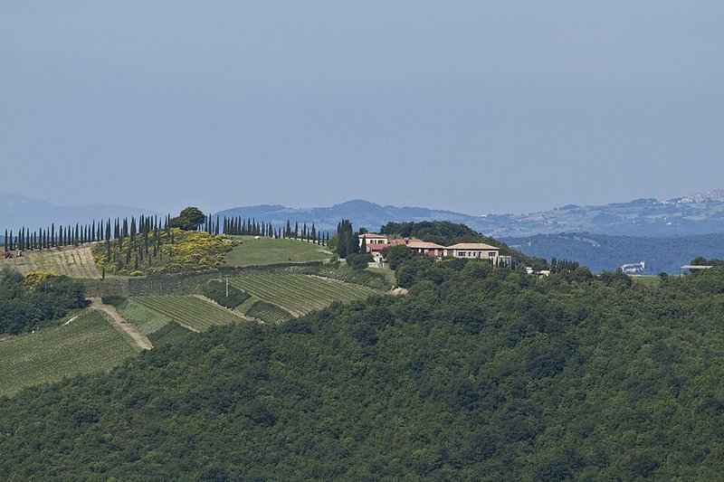 Colline e vigneti di Montalcino, la terra del Luce Brunello di Montalcino