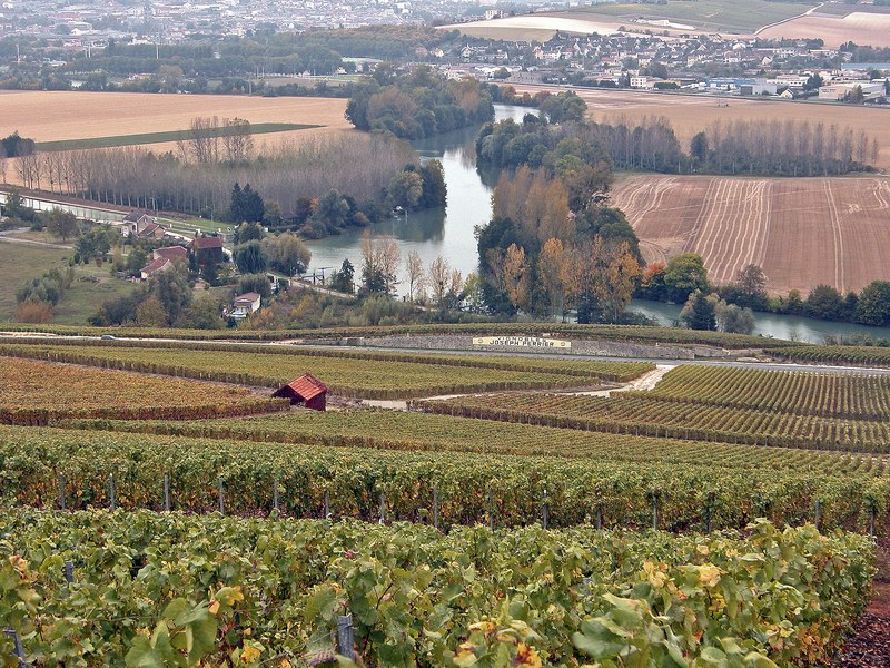 Jacquesson Champagne 748 vigne di Hautvillers sulla Marne