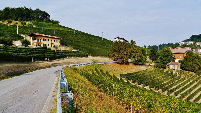 Piero Benevelli Le Coste di Monforte, vigne di Monforte d'Alba
