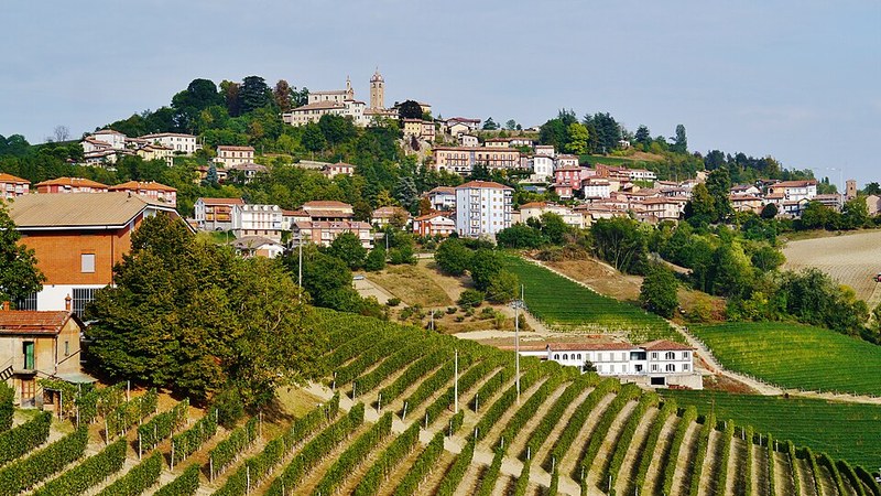 Piero Benevelli Ravera di Monforte, vigne sotto Monforte d'Alba