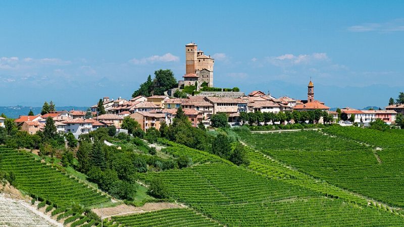 Giacomo Conterno Barolo Francia, colline e vigne di Serralunga d'Alba