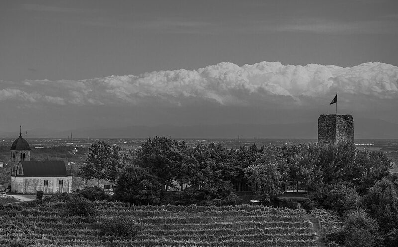 Conterno Cantine Nervi Gattinara Valferana, vigne sulle colline di Gattinara