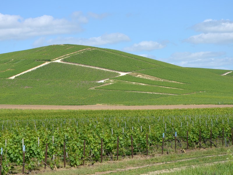 Jacquesson Champagne 747 vigne di Aÿ