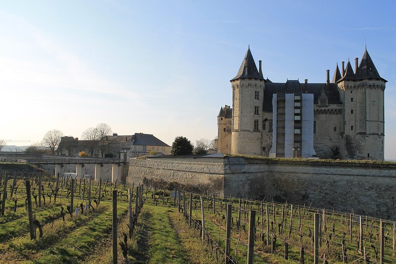 Vigne di Saumur sotto il castello, Loira