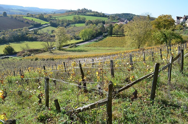 Vigne di Vezelay in Borgogna, terra di La Croix Montjoie e del suo Bourgogne Chardonnay