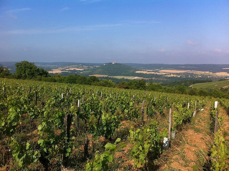 Vigneto di Vezelay, la zona di La Croix Montjoie e del suo Bourgogne Pinot Noir
