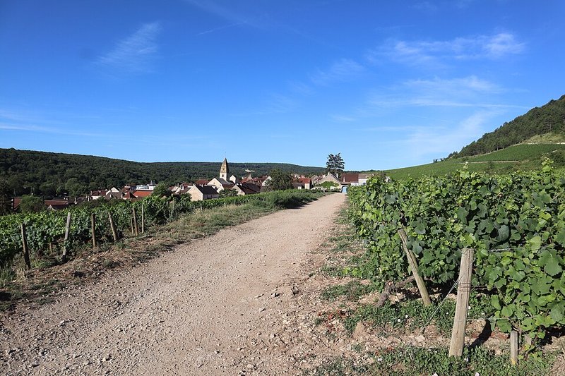 Il villaggio e le vigne di Saint-Aubin, dove Maison Glandien produce L’Ouverture