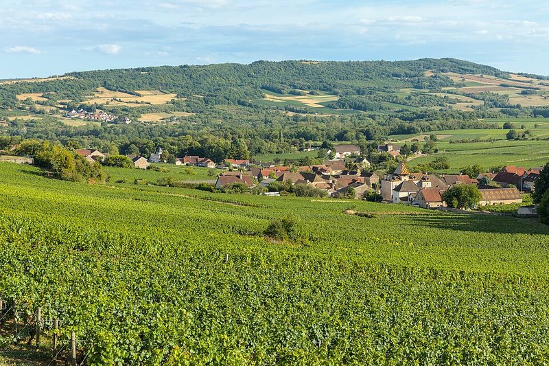 Il villaggio e le vigne di Santenay, dove David Moreau coltiva il Pinot Nero della Cuvée S